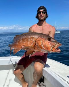 Venice Louisiana Fishing Charter For Snapper