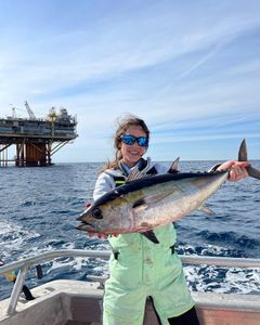 Tuna fishing in Louisiana