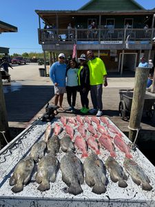 Five tripletail fish caught while fishing in Venice, Florida