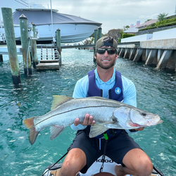 Snook fish caught by a person in Venice