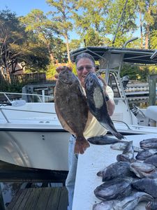 Two summer flounder caught while fishing in Norfolk