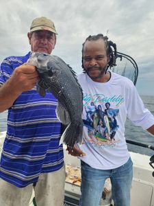 Black sea bass caught during fishing trip in Norfolk VA
