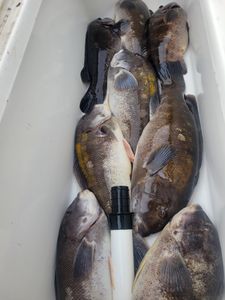 Four fishing rods with a beautiful view of Norfolk