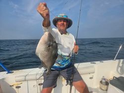 Grey triggerfish caught while fishing in Norfolk VA waters