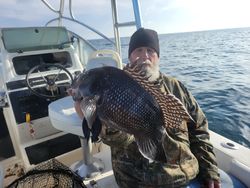 Photograph of a fisherman catching a sea bass in Norfolk