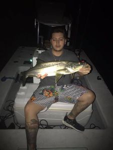 Finest Catch In St Petersburg 