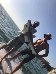 Shark Fishing in St Petersburg, FL