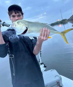 A lone blue runner fish caught in FL