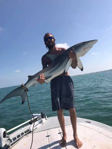 Dusky Smooth-Hound fish caught in Seminole