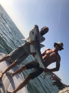 Dusky Smooth-Hound fish caught while fishing in FL