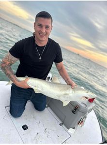 Great white shark fishing in Seminole