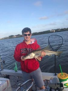 Snook fish caught while fishing in Seminole