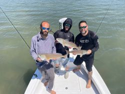 Two redfish caught fishing in FL
