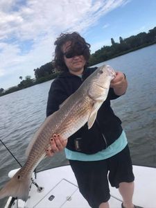 Redfish caught in Seminole