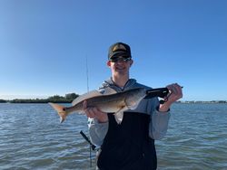 Redfish caught in Seminole