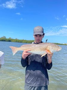 Redfish caught in FL while fishing
