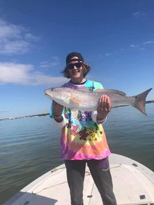 Redfish caught in Seminole