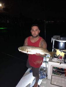 Redfish caught in Seminole