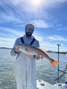 Redfish caught in Seminole, Florida