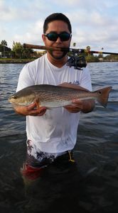 A fisherman holds up a freshly caught redfish in Seminole.