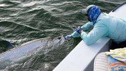 Epic St Petersburg Fl Fishing Charters