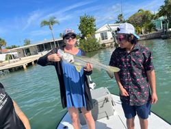 Snook fish caught by two people in Seminole