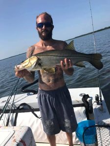 Snook fishing in Seminole