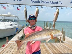Goliath Red Fish! South Padre Island, TX