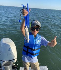 Two anglers fishing in TX