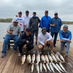 7 redfish caught on a fishing trip at South Padre Island
