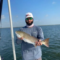 Redfish caught fishing in TX