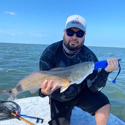 Redfish caught at South Padre Island
