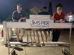 Six redfish caught in TX