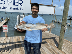 Spotted weakfish, 25 inches, caught in TX