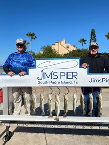 10 fish caught on a fishing trip in TX