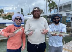 3 fish caught at South Padre Island