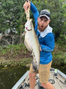 Fish on!