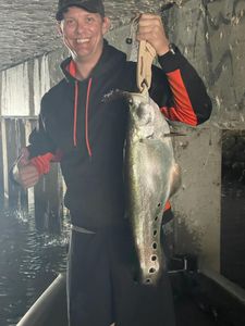 Lovely catch!