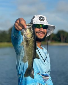 Bass Fishing!