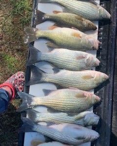 6 fishing catch in FL