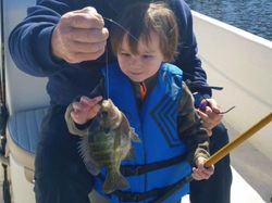 Angler with fish caught in Leesburg