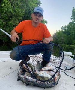 A person fishing with a rod in FL