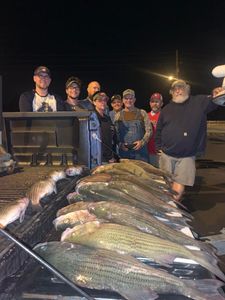 8 people fishing in Leesburg
