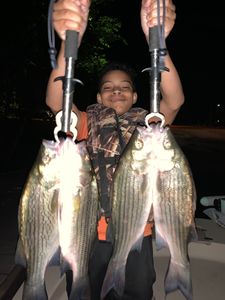 Four striped bass caught in Leesburg