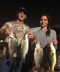 4 freshwater fish caught while fishing in FL