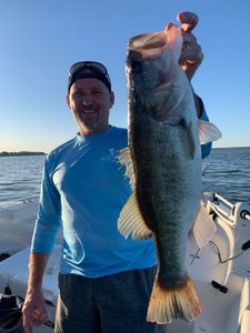 Largemouth bass caught in Leesburg