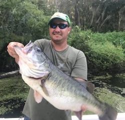Largemouth Bass caught in Leesburg, fishing
