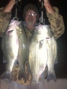 Three striped bass caught in Leesburg during fishing