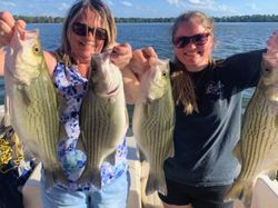4 huge wiper (hybrid striped bass) caught while fishing in FL
