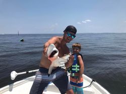 Shark fishing fun in Biloxi!